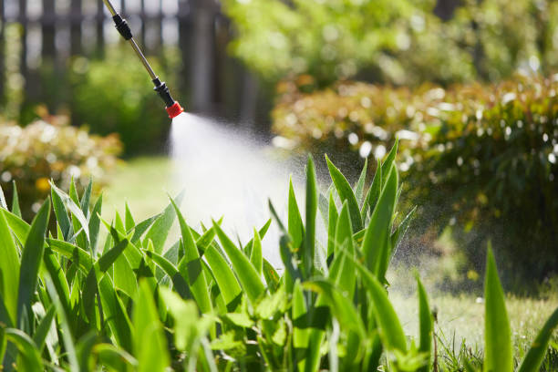 24/7 Emergency Mosquito Control experts in Belvedere, SC